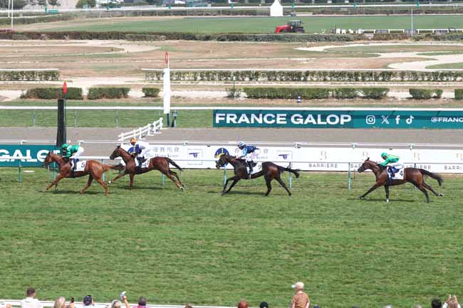 Photo d'arrivée de la course pmu PRIX DE POMONE (JRA PRIX ALEC HEAD) à DEAUVILLE le Samedi 15 août 2026