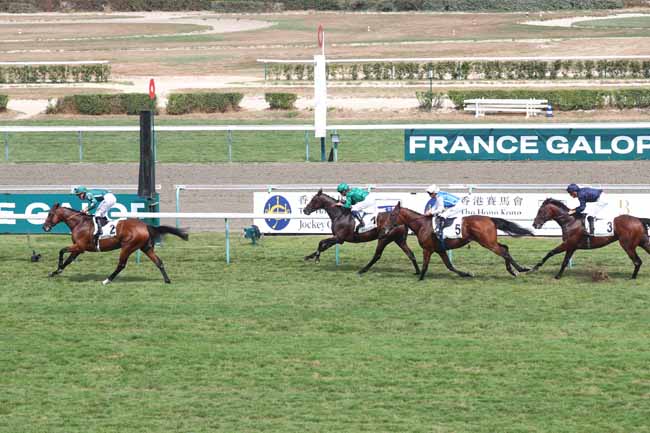 Photo d'arrivée de la course pmu PRIX GUILLAUME D'ORNANO à DEAUVILLE le Samedi 15 août 2026