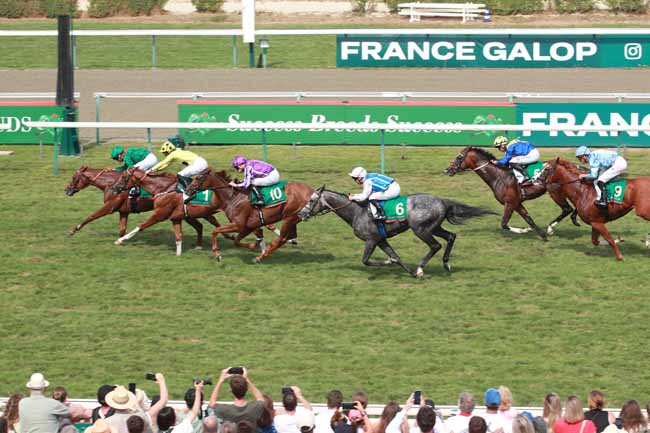 Photo d'arrivée de la course pmu THE AGA KHAN STUDS PRIX JACQUES-LE-MAROIS à DEAUVILLE le Dimanche 16 août 2026