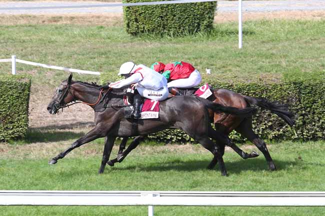 Photo d'arrivée de la course pmu PRIX DES ACONITES à CLAIREFONTAINE le Lundi 17 août 2026