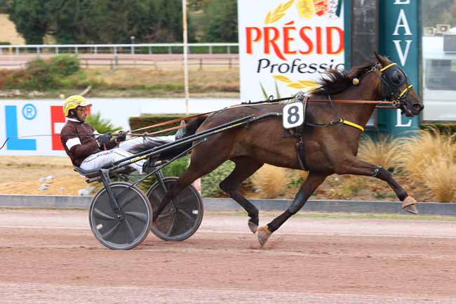 Photo d'arrivée de la course pmu PRIX DE SEGRE à LAVAL le Mercredi 19 août 2026