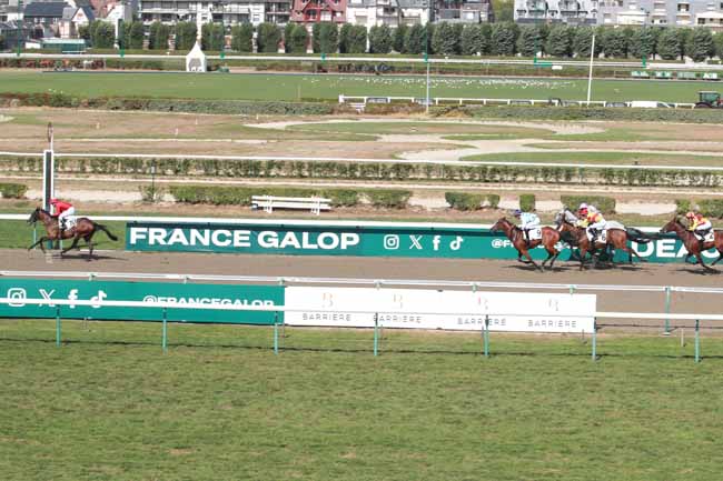 Photo d'arrivée de la course pmu PRIX DES HETRES à DEAUVILLE le Jeudi 20 août 2026