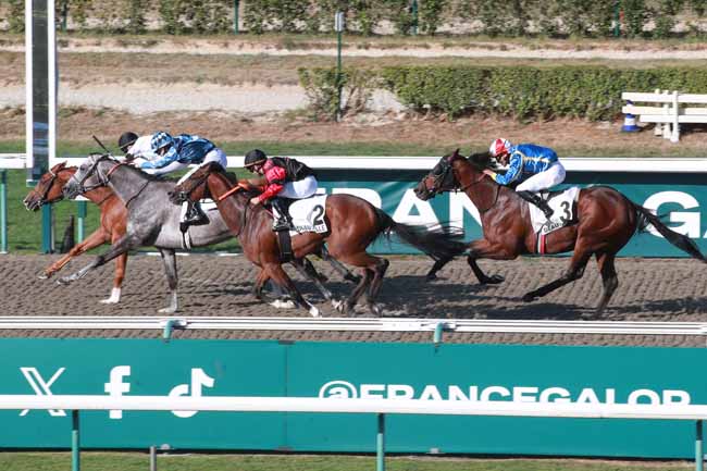 Photo d'arrivée de la course pmu PRIX DU CHATEAU DE FONTAINE HENRI à DEAUVILLE le Jeudi 20 août 2026