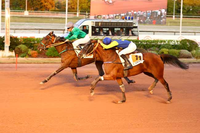 Photo d'arrivée de la course pmu PRIX D'ALENCON à CABOURG le Vendredi 21 août 2026