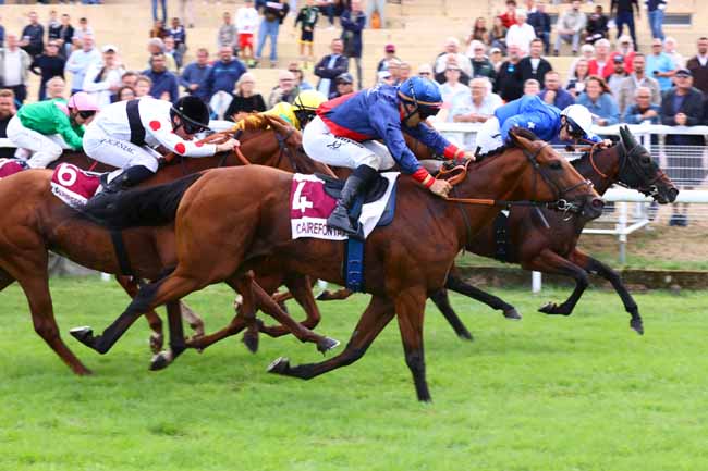 Photo d'arrivée de la course pmu PRIX CONFRERIE CHEVALIERS DU LIVAROT ET DU CAMEMBERT à CLAIREFONTAINE le Vendredi 21 août 2026