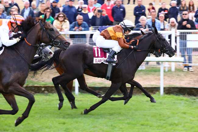 Photo d'arrivée de la course pmu PRIX IDAC INTERPROFESSION DES APPELLATIONS CIDRICOLES à CLAIREFONTAINE le Vendredi 21 août 2026