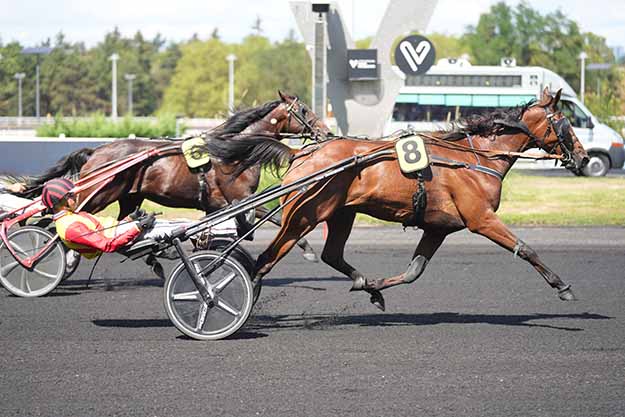 Photo d'arrivée de la course pmu PRIX DE PROVENCE à PARIS-VINCENNES le Samedi 22 août 2026