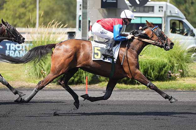 Photo d'arrivée de la course pmu PRIX PHACT à PARIS-VINCENNES le Samedi 22 août 2026