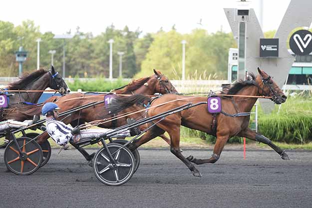 Photo d'arrivée de la course pmu YEARLING CUP 2026 - ARQANA TROT à PARIS-VINCENNES le Samedi 22 août 2026