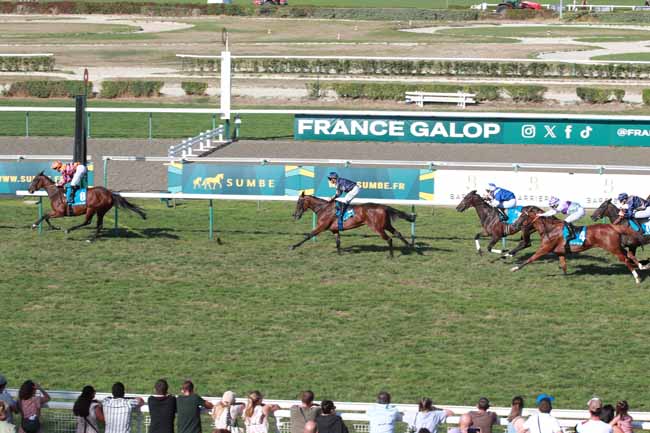 Photo d'arrivée de la course pmu SUMBE PRIX DE LA FORET DE BORD à DEAUVILLE le Dimanche 23 août 2026