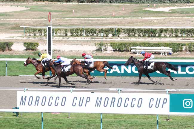 Photo d'arrivée de la course pmu PRIX GUY DU FAUR DE PIBRAC - HANDICAP CHALLENGE - CHALLENGE APGO à DEAUVILLE le Mardi 25 août 2026