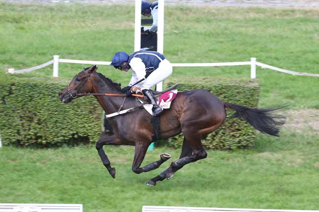 Photo d'arrivée de la course pmu PRIX FENDT RECOLTE FULL LINE (PRIX GRAND CROC) à CLAIREFONTAINE le Mercredi 26 août 2026