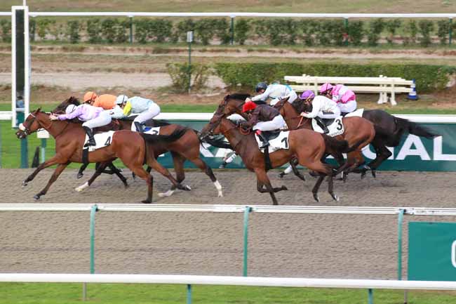 Photo d'arrivée de la course pmu PRIX DE LA LEZARDE à DEAUVILLE le Jeudi 27 août 2026