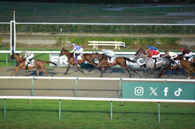 Photo d'arrivée de la course pmu PRIX DE LA VILLA LUCIE à DEAUVILLE le Jeudi 27 août 2026