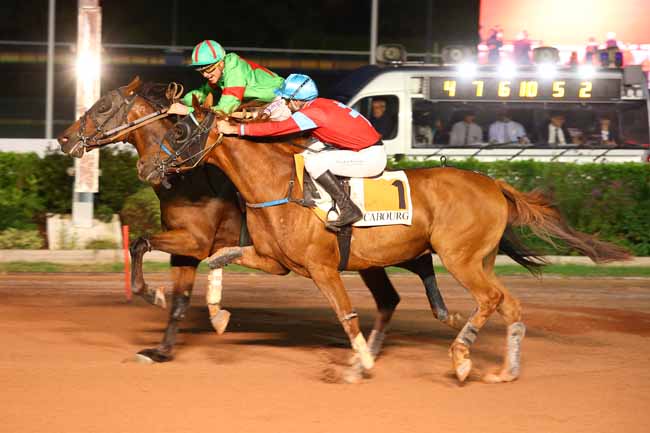 Photo d'arrivée de la course pmu PRIX DU CHEVREFEUILLE à CABOURG le Vendredi 28 août 2026