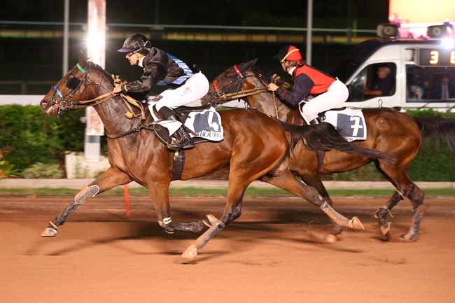 Photo d'arrivée de la course pmu PRIX DES ESTIVALES DE CABOURG 2026 à CABOURG le Vendredi 28 août 2026