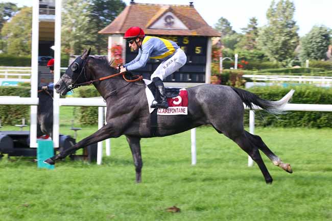 Photo d'arrivée de la course pmu PRIX DE LA COMPETITION (PRIX RICHARD DE NORMANDIE) à CLAIREFONTAINE le Samedi 29 août 2026