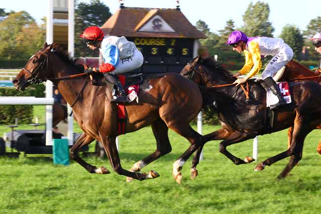 Photo d'arrivée de la course pmu PRIX DU PUBLIC DE LA VILLE DE DEAUVILLE 2026 (PRIX DE RICARVILLE) à CLAIREFONTAINE le Samedi 29 août 2026