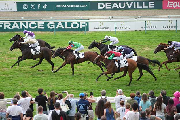 Photo d'arrivée de la course pmu PRIX HOTEL BARRIERE LE NORMANDY à DEAUVILLE le Dimanche 30 août 2026