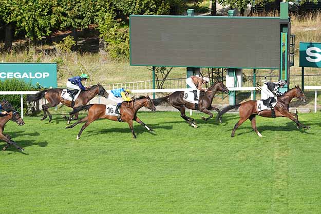 Photo d'arrivée de la course pmu PRIX DE L'AVENUE PYRAMIDE à SAINT CLOUD le Lundi 31 août 2026