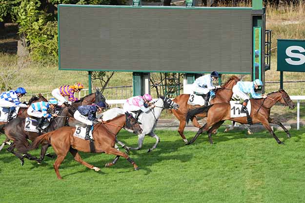 Photo d'arrivée de la course pmu PRIX DE L'AVENUE MARENGO à SAINT CLOUD le Lundi 31 août 2026
