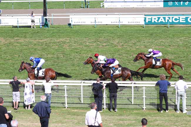 Photo d'arrivée de la course pmu PRIX DE MONTPENSIER à DEAUVILLE le Mardi 1 septembre 2026
