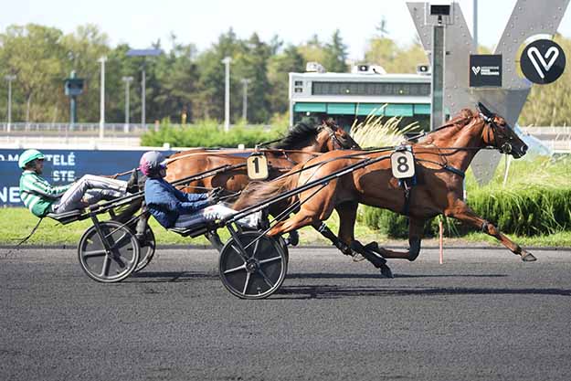 Photo d'arrivée de la course pmu PRIX DE METZ à PARIS-VINCENNES le Mardi 1 septembre 2026