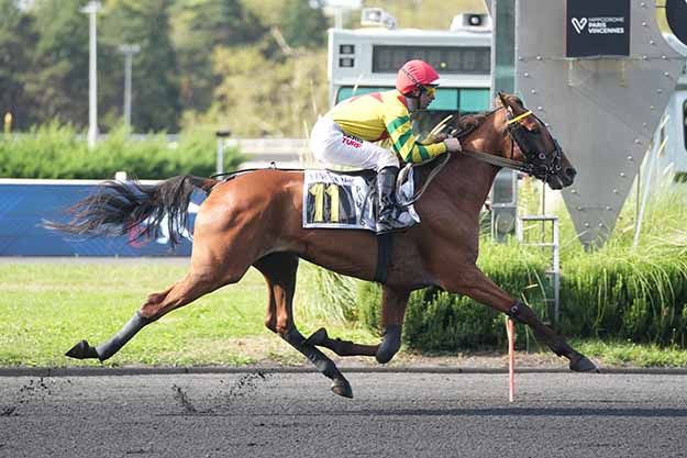 Photo d'arrivée de la course pmu PRIX CAMILLE LEPECQ à PARIS-VINCENNES le Mardi 1 septembre 2026