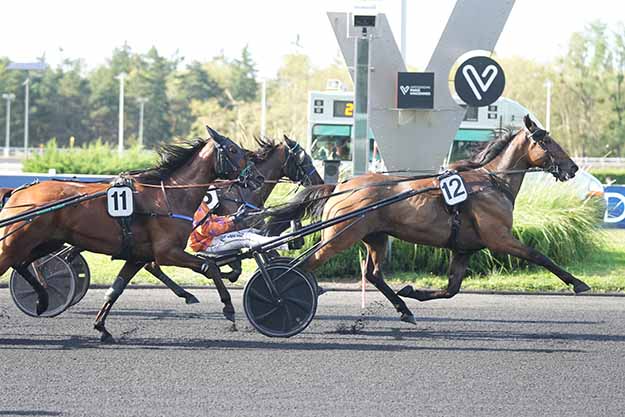 Photo d'arrivée de la course pmu PRIX ADARA à PARIS-VINCENNES le Mardi 1 septembre 2026