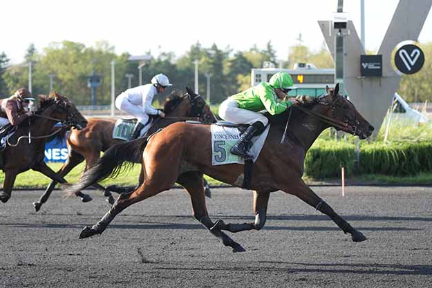 Photo d'arrivée de la course pmu PRIX D'ANNEMASSE à PARIS-VINCENNES le Mardi 1 septembre 2026
