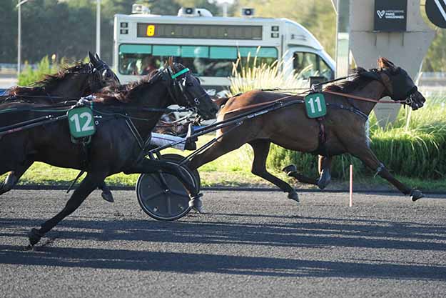 Photo d'arrivée de la course pmu PRIX DE GIVORS à PARIS-VINCENNES le Mardi 1 septembre 2026