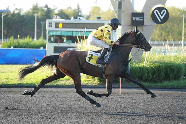 Photo d'arrivée de la course pmu PRIX DE BIHOREL à PARIS-VINCENNES le Mardi 1 septembre 2026