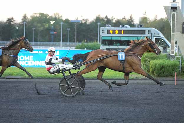 Photo d'arrivée de la course pmu PRIX DE SAINT-DIE à PARIS-VINCENNES le Mardi 1 septembre 2026