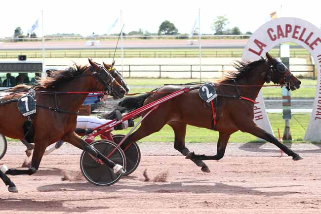 Photo d'arrivée de la course pmu PRIX CHAMBRE D'AGRICULTURE DE L'AISNE à LA CAPELLE le Mercredi 2 septembre 2026