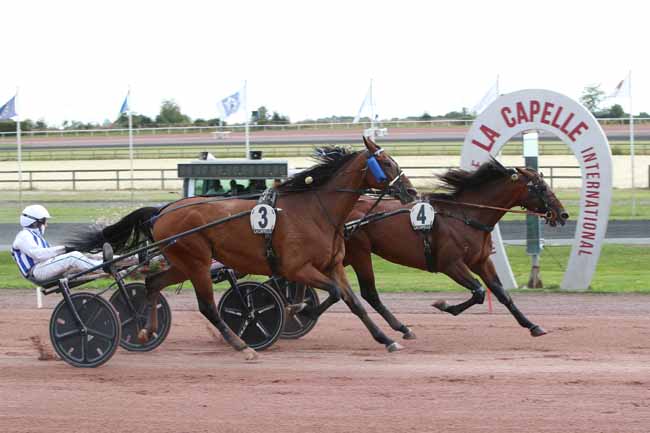 Photo d'arrivée de la course pmu GRAND PRIX FEDERATION REGIONALE DU NORD à LA CAPELLE le Mercredi 2 septembre 2026
