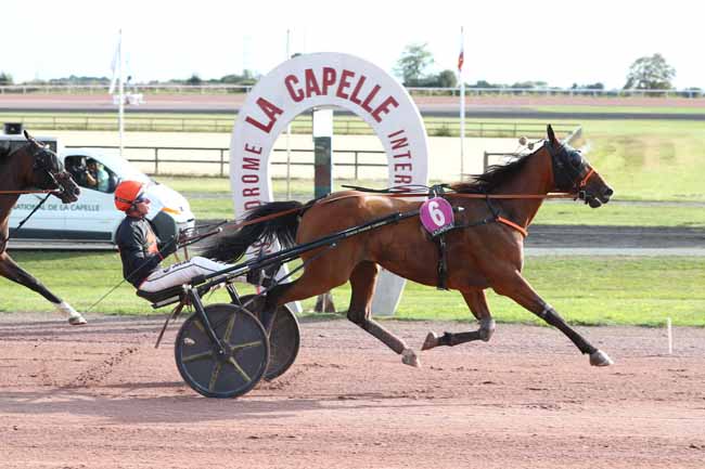 Photo d'arrivée de la course pmu PRIX DE LA CONFRERIE DU MAROILLES à LA CAPELLE le Mercredi 2 septembre 2026