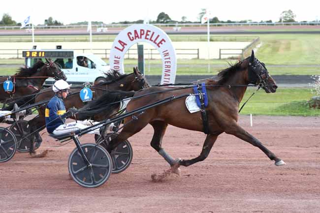 Photo d'arrivée de la course pmu PRIX DE LA COMMUNAUTE DE COMMUNES THIERACHE DU CENTRE à LA CAPELLE le Mercredi 2 septembre 2026