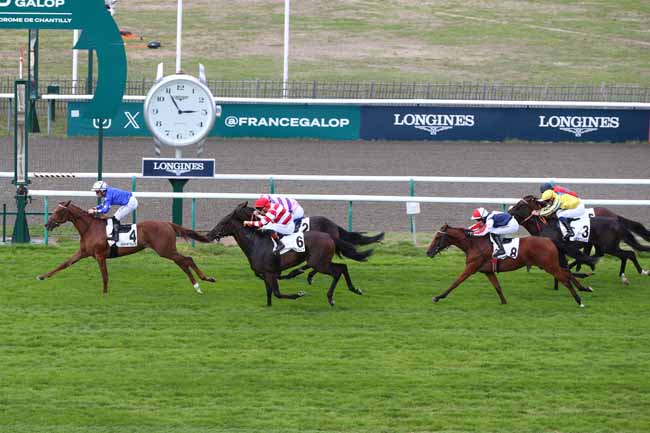 Photo d'arrivée de la course pmu PRIX DU CARREFOUR DES MARCHANDS DE NAVET à CHANTILLY le Vendredi 4 septembre 2026