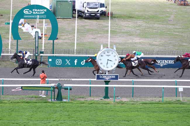 Photo d'arrivée de la course pmu PRIX HENRI SAMANI (CHAMPIONNAT 