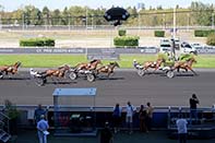 Photo d'arrivée de la course pmu PRIX JOSEPH AVELINE à PARIS-VINCENNES le Samedi 5 septembre 2026