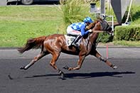 Photo d'arrivée de la course pmu PRIX DE LUSIGNY à PARIS-VINCENNES le Samedi 5 septembre 2026