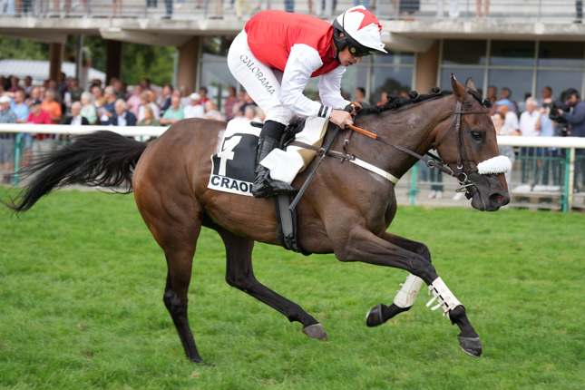 Photo d'arrivée de la course pmu PRIX ICI MAYENNE - HOTEL DE L'ETOILE (PRIX BARON DE PIERRES) à CRAON le Lundi 7 septembre 2026