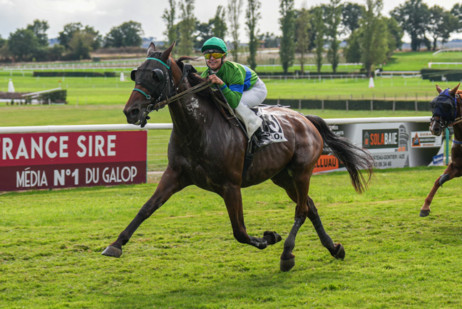 Photo d'arrivée de la course pmu PRIX GROUPE GENDRY - PRIX FANDANGO à CRAON le Lundi 7 septembre 2026