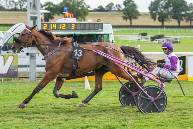 Photo d'arrivée de la course pmu PRIX TENOR DE BAUNE (PRIX TRANSPORTS GILLOIS) à CRAON le Lundi 7 septembre 2026