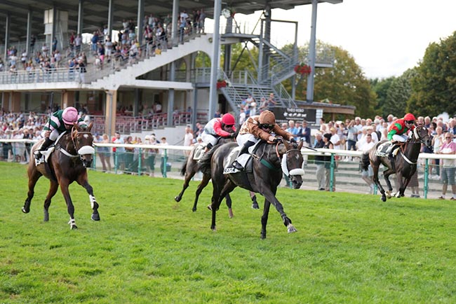 Photo d'arrivée de la course pmu PRIX «OUEST-FRANCE» (PRIX FINEAU) à CRAON le Lundi 7 septembre 2026