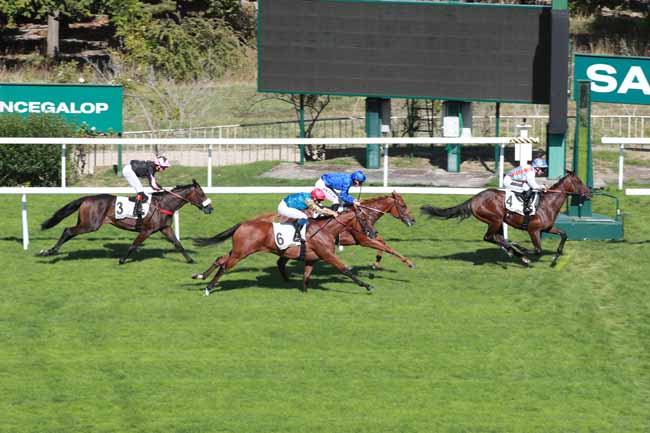 Photo d'arrivée de la course pmu PRIX PHAREL à SAINT CLOUD le Lundi 7 septembre 2026