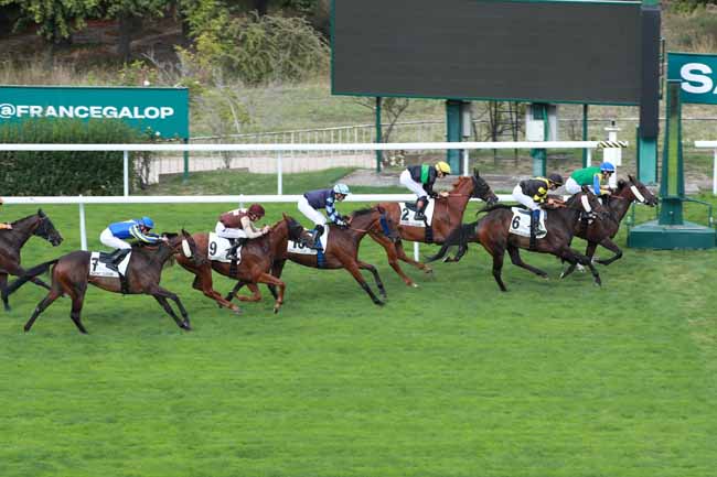 Photo d'arrivée de la course pmu PRIX DE LA CHALOSSE à SAINT CLOUD le Lundi 7 septembre 2026