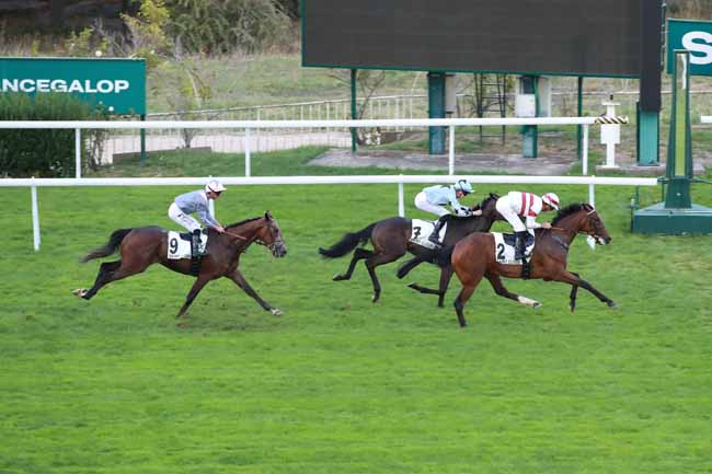 Photo d'arrivée de la course pmu PRIX DU HARAS DE VILLENEUVE à SAINT CLOUD le Lundi 7 septembre 2026
