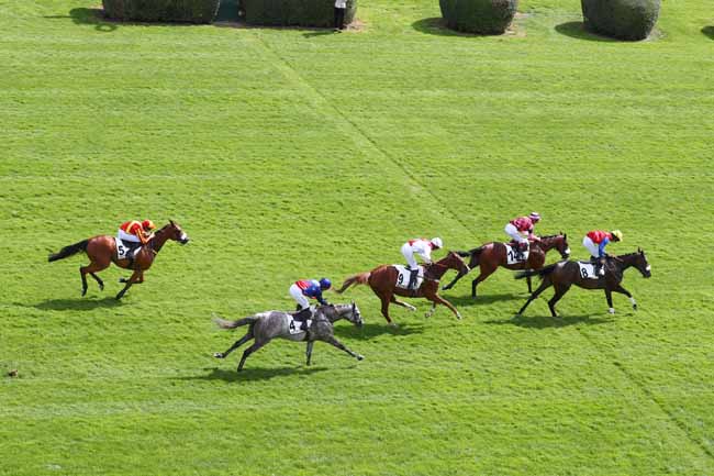 Arrivée quinté pmu PRIX JEAN BART à AUTEUIL