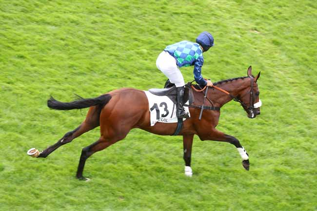 Photo d'arrivée de la course pmu PRIX DES PLATANES à AUTEUIL le Mardi 8 septembre 2026